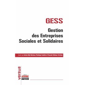 GESS  gestion des entreprises sociales et solidaires