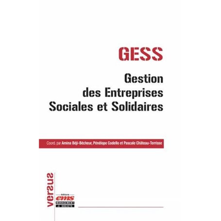 GESS  gestion des entreprises sociales et solidaires