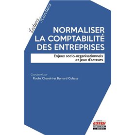 Normaliser la comptabilité des entreprises