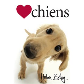Chiens Ned