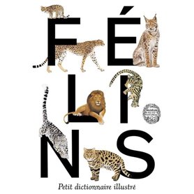 Félins. Petit dictionnaire illustré