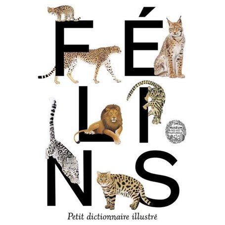 Félins. Petit dictionnaire illustré