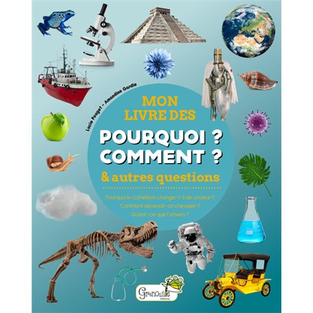 Mon livre des pourquoi comment & autres questions