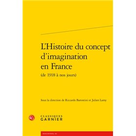 L'Histoire du concept d'imagination en France