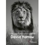 David Yarrow, une vision de la photographie