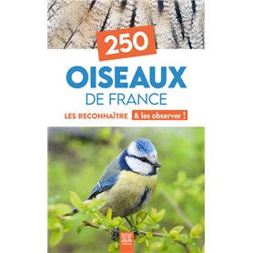 250 oiseaux de France