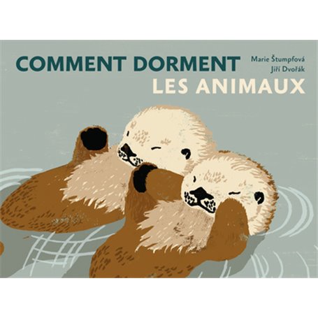 Comment dorment les animaux