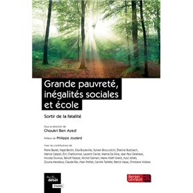 Grande pauvreté, inégalités sociales et école