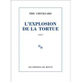 L'Explosion de la tortue