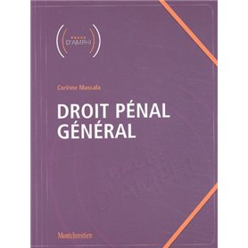 droit pénal général