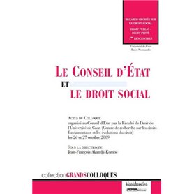 le conseil d'état et le droit social