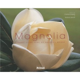 magnolia