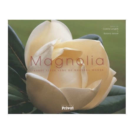 magnolia