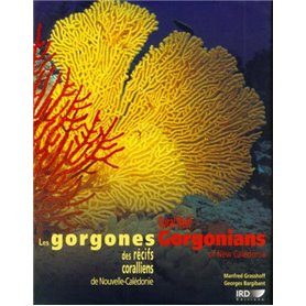 Les gorgones des récifs coralliens de Nouvelle-Calédonie