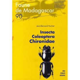 Insecta Coleoptera Chironidae n° 90