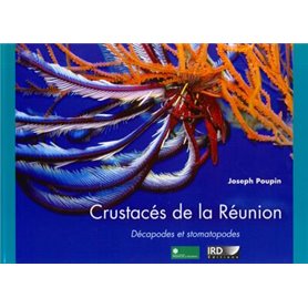 Crustacés de la Réunion