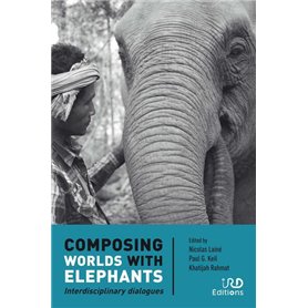 Composing worlds with elephants