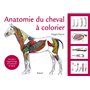 Anatomie du cheval à colorier