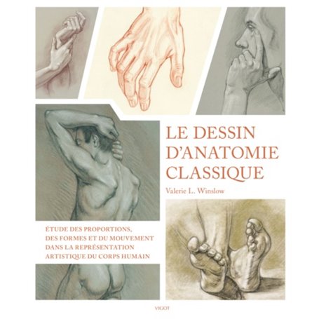 Le dessin d'anatomie classique