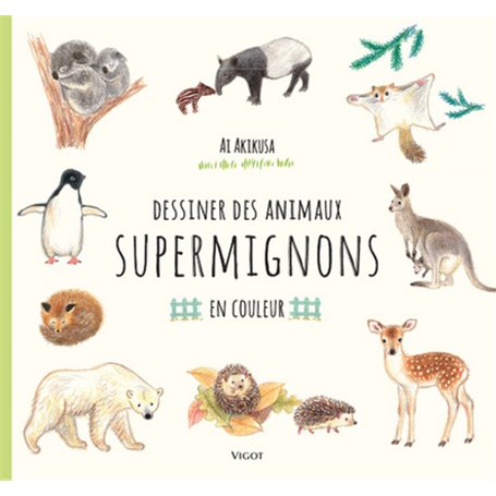 Dessiner des animaux supermignons en couleurs