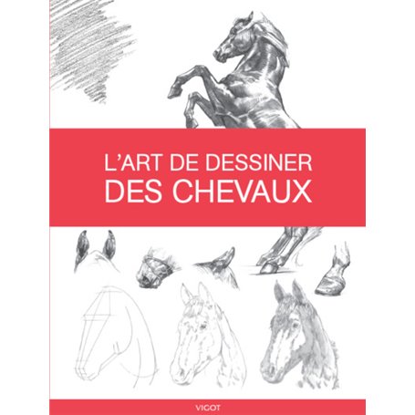 L'art de dessiner des chevaux