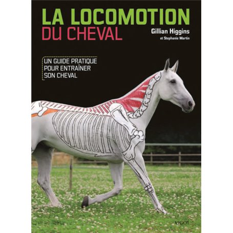 La locomotion du cheval