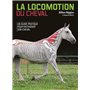 La locomotion du cheval