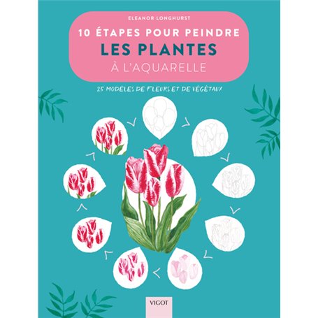 10 étapes pour peindre les plantes à l'aquarelle