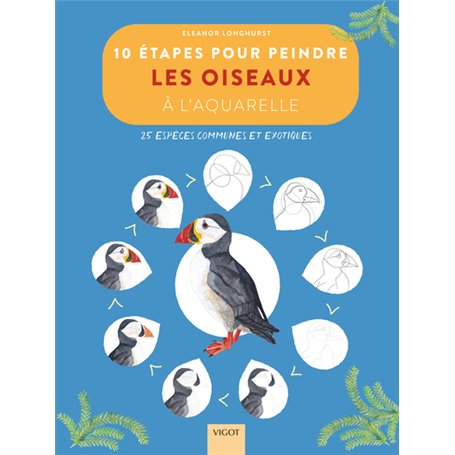 10 étapes pour peindre les oiseaux à l'aquarelle