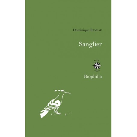 Sanglier