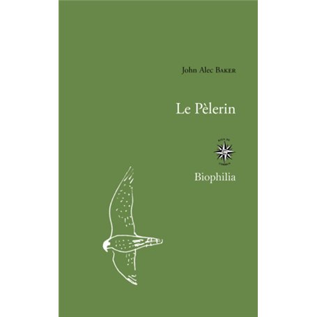 Le pèlerin