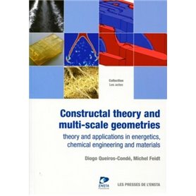 Constructal theory and multi-scale geometries