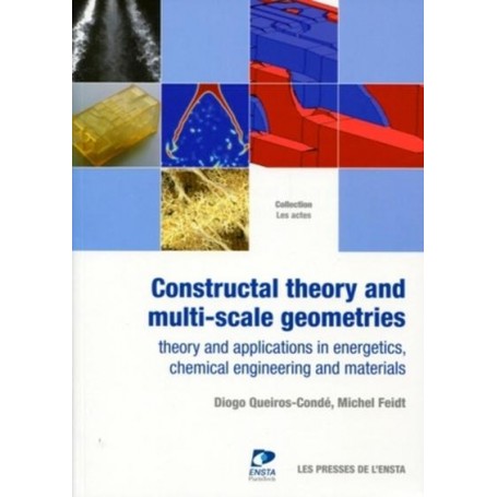 Constructal theory and multi-scale geometries