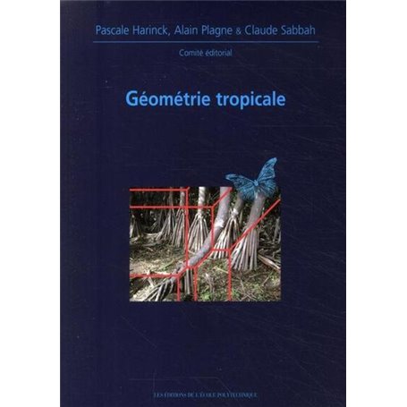 Géométrie tropicale