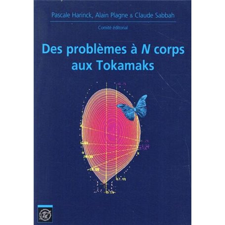 Des problèmes à N corps aus Tokamaks