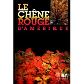 Le chêne rouge d'Amérique