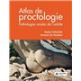 Atlas de proctologie