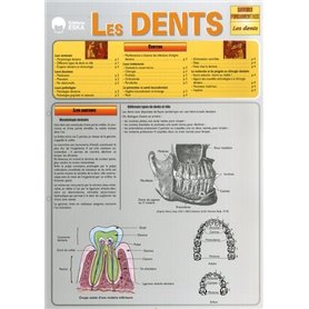 LES DENTS