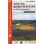 AUTOUR DES GORGES DE LA LOIRE ENTRE FOREZ -GR-42-420