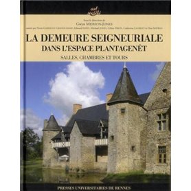 DEMEURE SEIGNEURIALE DU MONDE PLANTAGENET XIEXVIE SIECLES