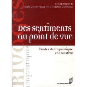 DES SENTIMENTS AU POINT DE VUE