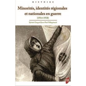 Minorités, identités régionales et nationales en guerre