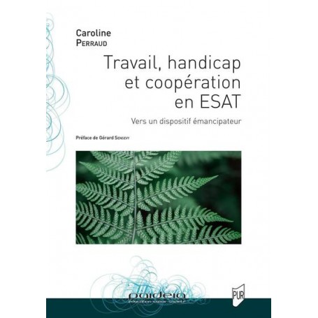 Travail, handicap et coopération en ESAT