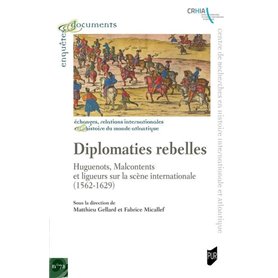 Diplomaties rebelles