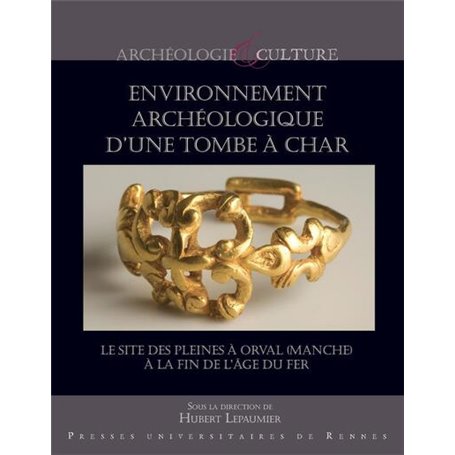 Environnement archéologique d'une tombe à char