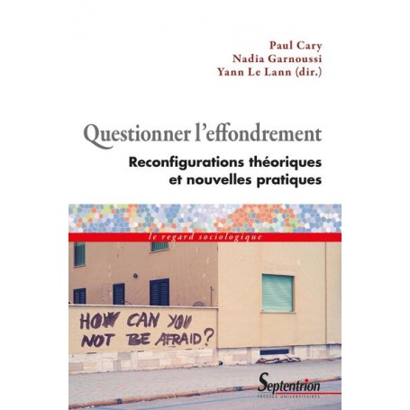 Questionner l'effondrement