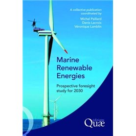 Marine Renewable Energies