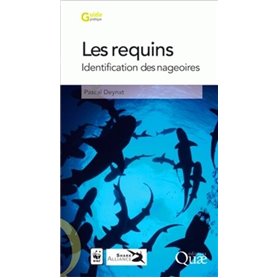 Les requins