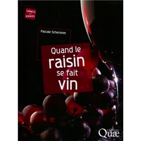 Quand le raisin se fait vin