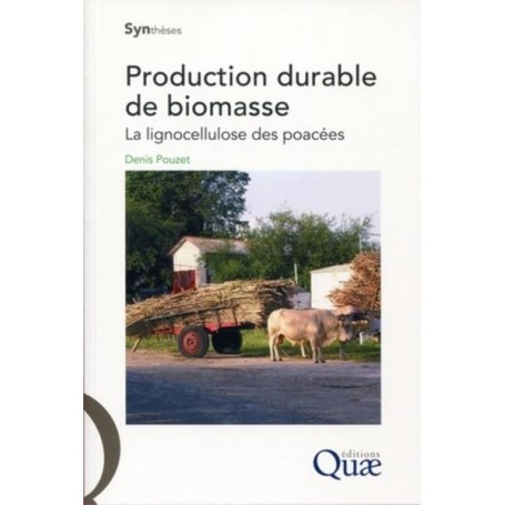 Production durable de biomasse